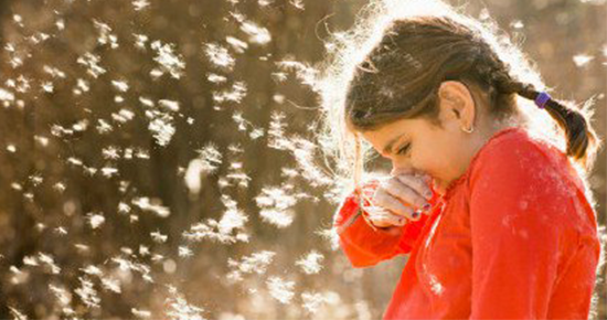 柳絮“四月飛雪”，瑞典VARKI新風(fēng)為您保駕護(hù)航