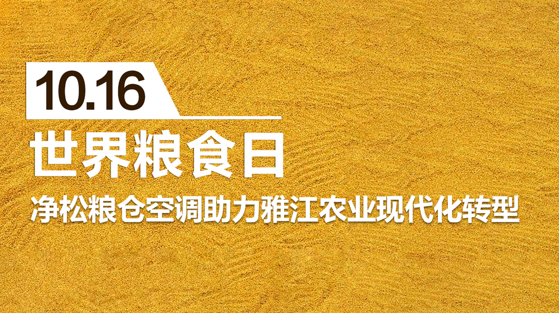 糧安天下，凈松糧倉空調助力雅江農業現代化轉型