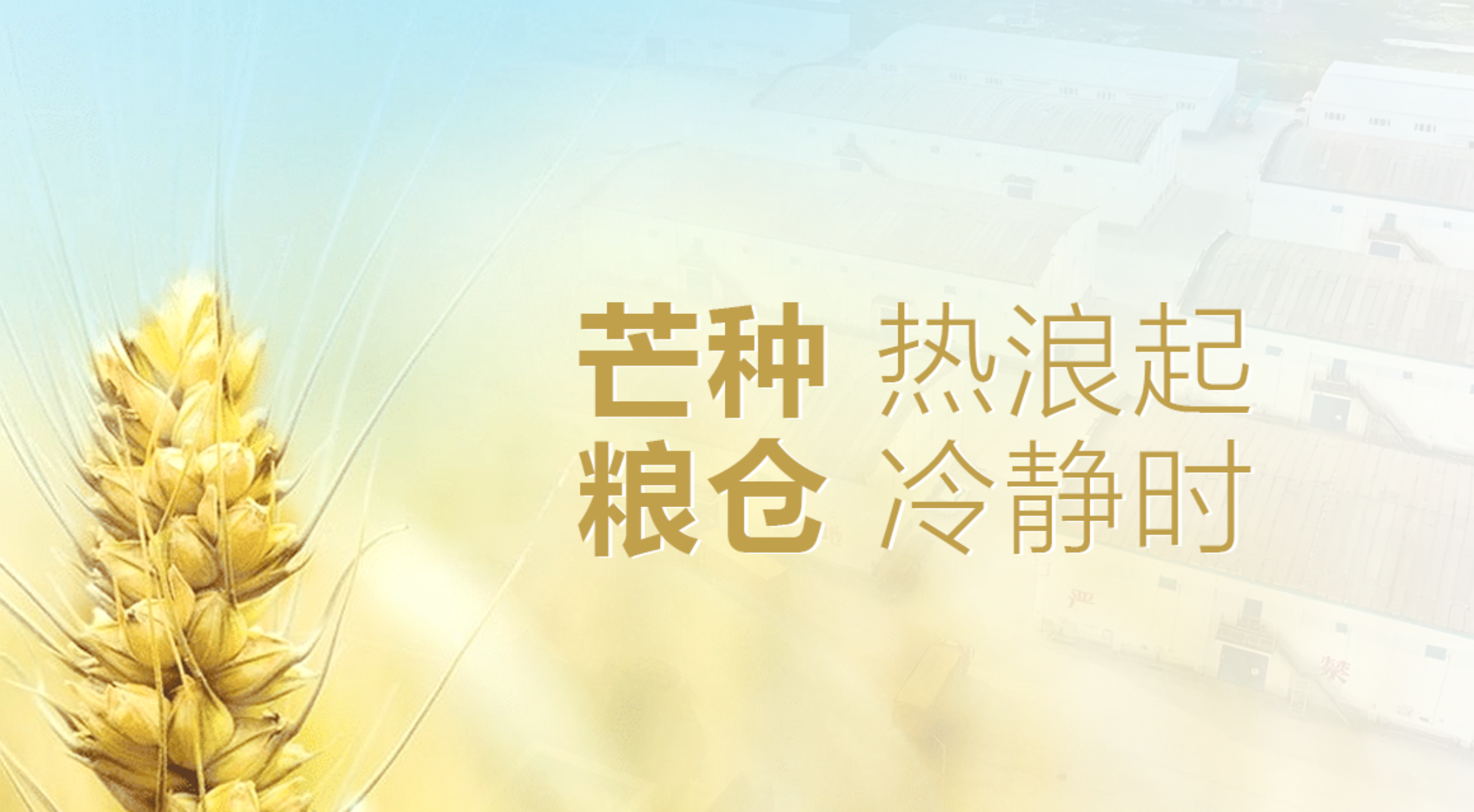 芒種熱浪起，糧倉“冷靜”時：凈松糧倉空調守護糧倉安全