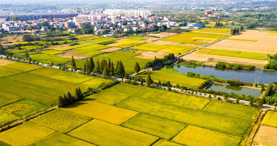 凈松糧倉空調入駐安徽蕪湖國良雙鳳糧庫