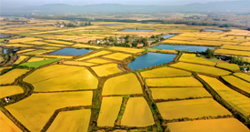 安徽滁州糧食儲備庫攜手凈松環境，共筑現代化綠色儲糧新標桿 #糧倉空調