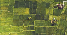 凈松移動式谷物冷卻機助力四川廣安天禾糧油守護糧倉安全